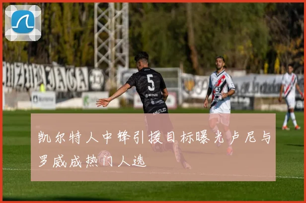 凯尔特人中锋引援目标曝光卢尼与罗威成热门人选